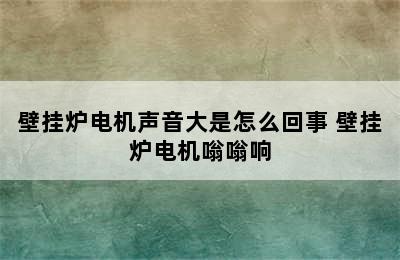 壁挂炉电机声音大是怎么回事 壁挂炉电机嗡嗡响